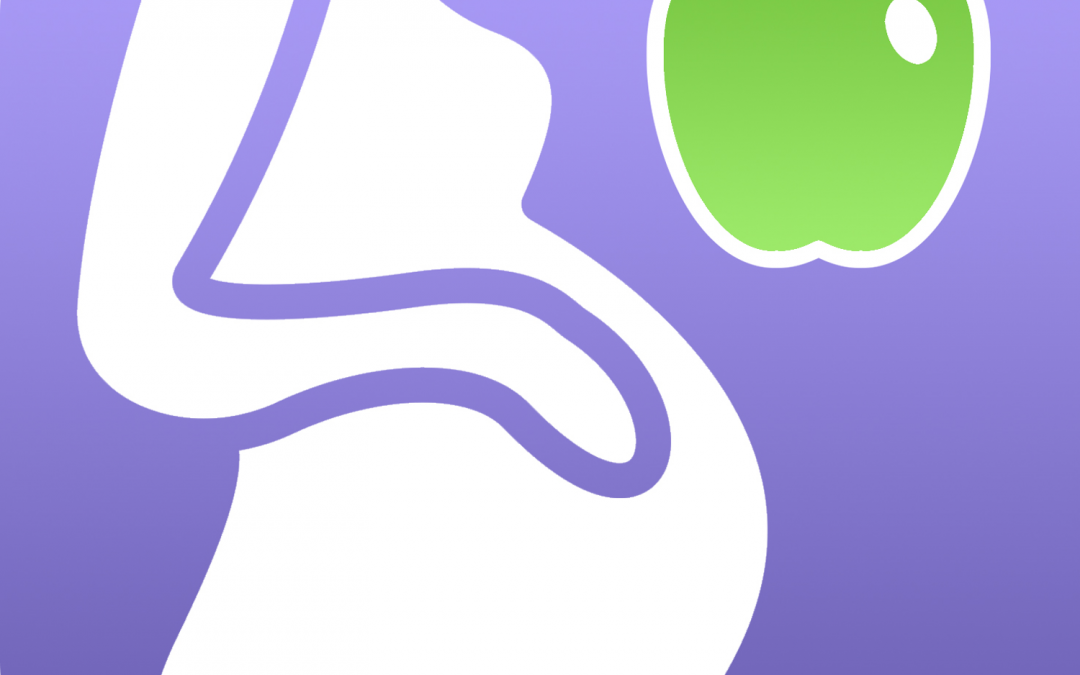 Neu: Mit der App PregFood optimal und sicher ernährt durch die Schwangerschaft
